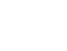 Wild Hogs logo