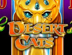 Desert Cats logo