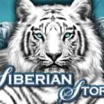 free pokies siberian storm