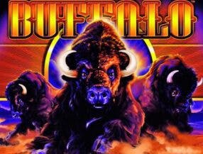 Buffalo