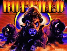 Buffalo logo