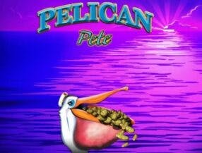 Pelican Pete