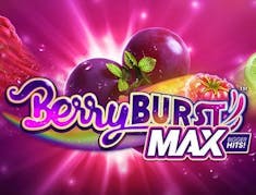 Berryburst Max logo