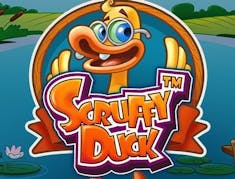 Scruffy Duck logo