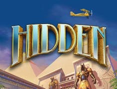 Hidden logo