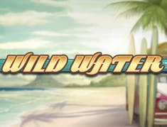 Wild Water logo