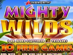 Mighty Wilds logo