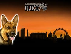 Rex logo