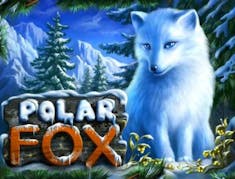 Polar Fox logo