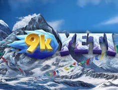 9K Yeti logo
