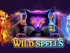 Wild Spells logo