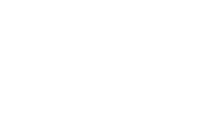 Giocaonline logo