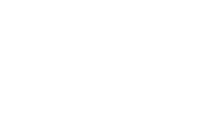 Play'n GO logo