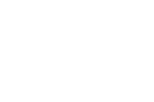 WMG logo