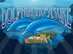 Dolphin Treasure logo