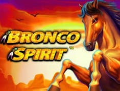 Bronco Spirit logo