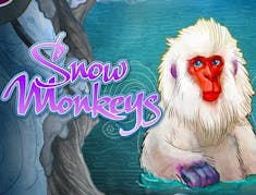 Snow Monkey logo