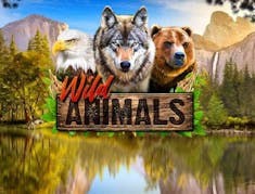 Wild Animals logo