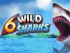 6 Wild Sharks logo