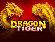 Dragon Tiger logo