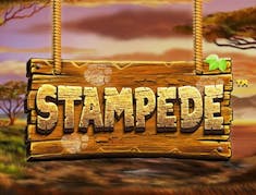 Stampede logo