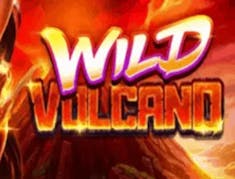 Wild Volcano logo