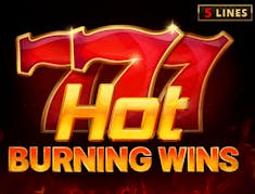 Hot Burning Wins logo