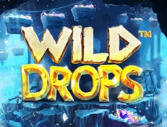 Wild Drops logo