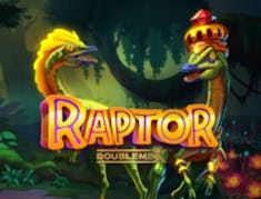 Raptor DoubleMax logo