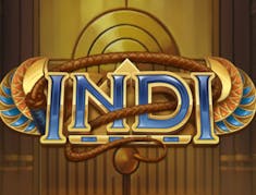 Indi logo