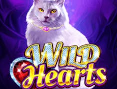 Wild Hearts logo