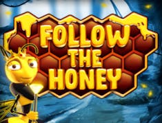 Follow the Honey logo