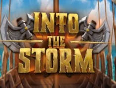 Into The Storm logo