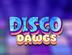 Disco Dawgs logo