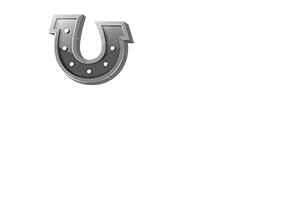 LuckSome logo