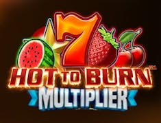 Hot to Burn Multiplier logo