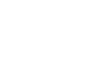 Evolution Gaming logo