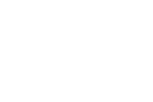 Play'n GO logo