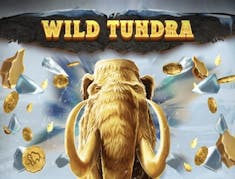 Wild Tundra logo