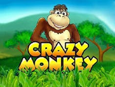 Crazy Monkey logo