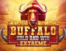 Buffalo Hold And Win Extreme logo