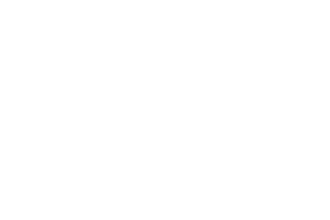 Swintt logo